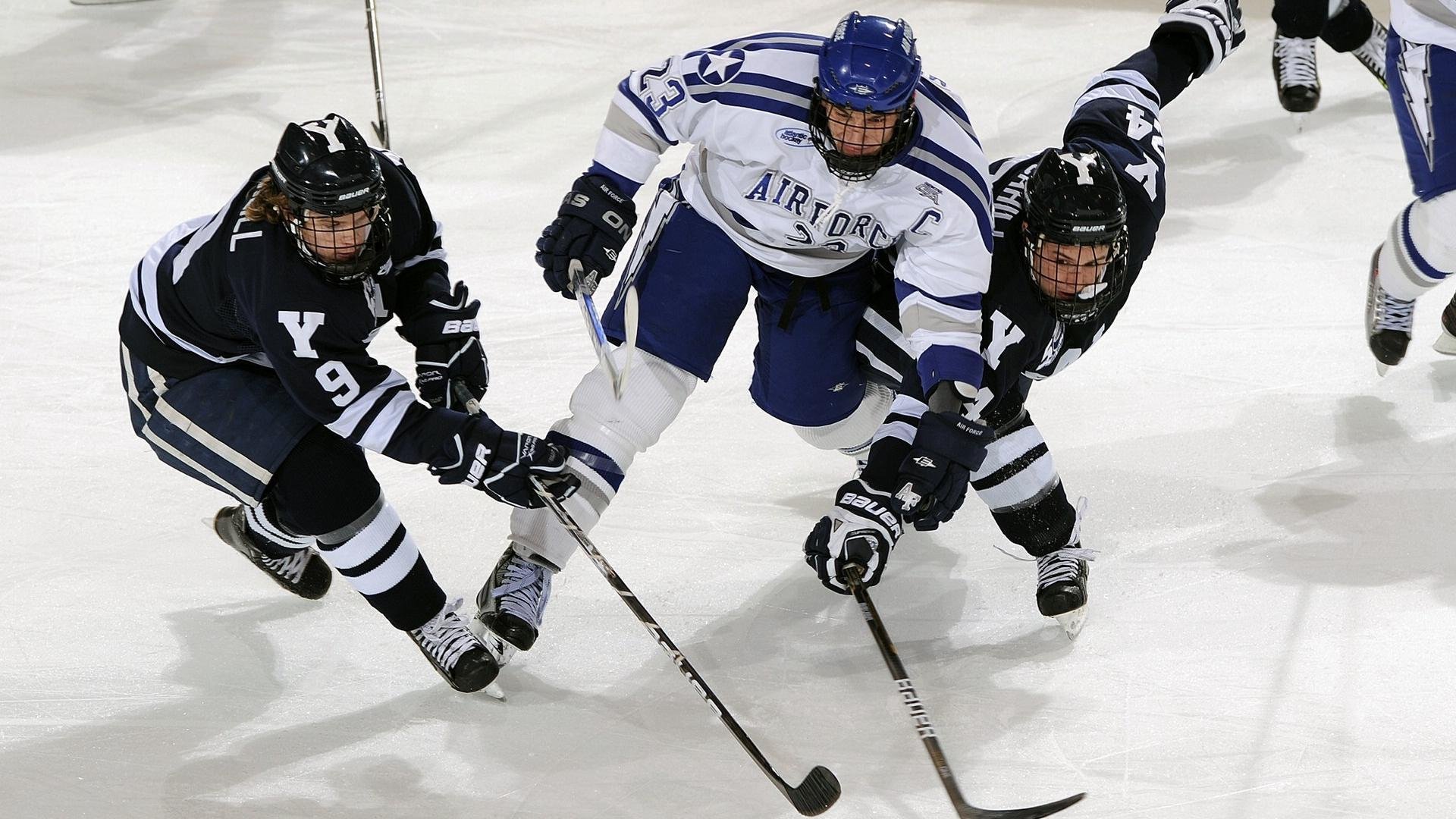 ky体育中国-悉尼国王体能储备充足,悉尼国王男子学校